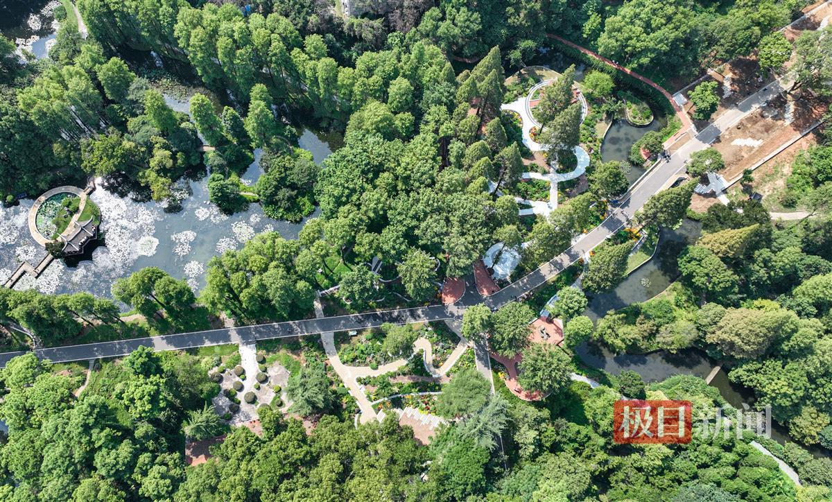 网站游戏注册首存10送88
